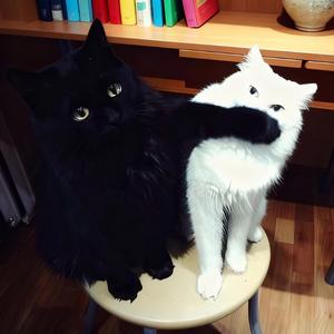 我想和你一起官宣发我们的朋友圈