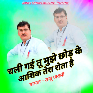 Chali Gai tu mujhe chhod Ke Aashiq Tera rota Hai