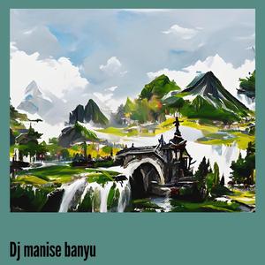 Dj Manise Banyu