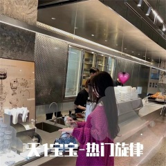 全网最火旋律 (DJ版)