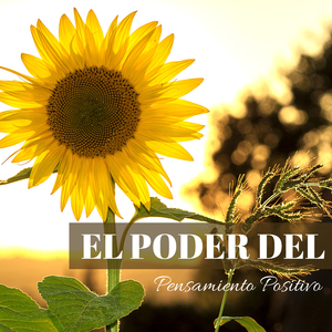 Flauta de Pan