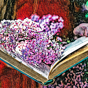 Photojournalist Stopover