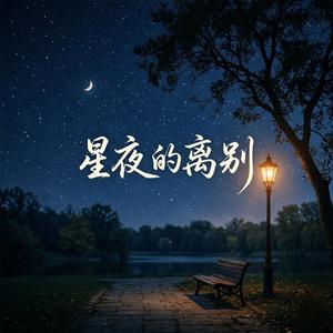 星夜的离别