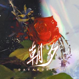 朝夕——致《落不下》