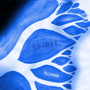 Illusion (ep version)