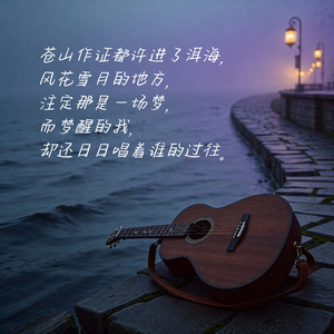 我唱的是谁的过往