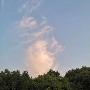 乌兰巴托的夜(C调1把位)