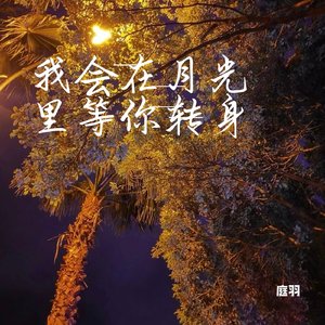 我会在月光里等你转身