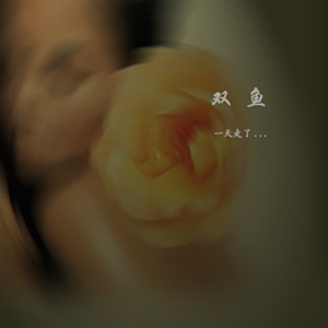 降临在薄雾的清晨