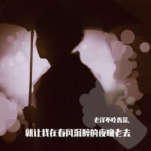 就让我在春风沉醉的夜晚老去