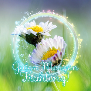 String Quartet No. 13 in A Minor, Op. 29, No. 1, D. 804 “Rosamunde”: IV. Allegro moderato (Wood Quartet Version)