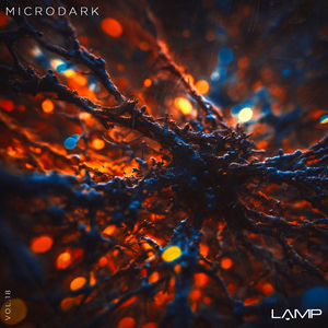 The Silent Roar (Original Mix)