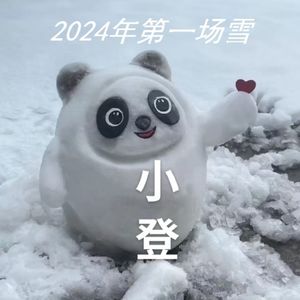 2024年的第一场雪