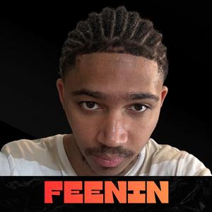 Feenin