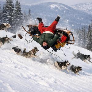 Jethro Flips In Sled Race