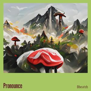 Pronounce
