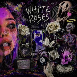 roses white