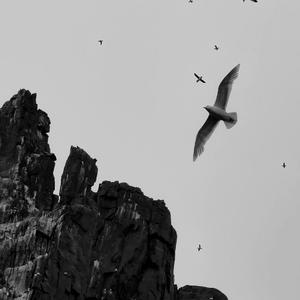 做我老婆好不好