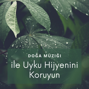 Uyum İçinde İyi Uykular