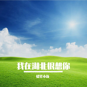 我在湖北很想你