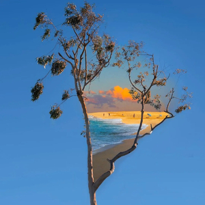 The original dream (最初的梦想)