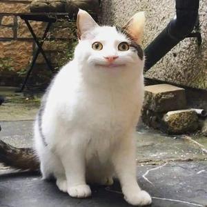 释怀‎2019‎年‎9月‎26‎日