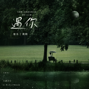 遇你（内娱第一花瓶原创同人曲）