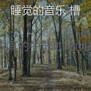 一尘不染做梦印象数