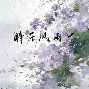 醉在风雨中