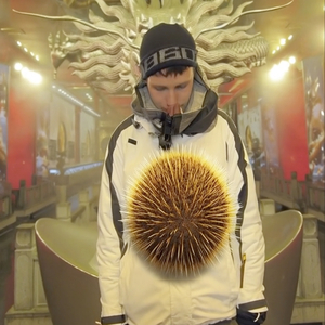 SEEIGEL