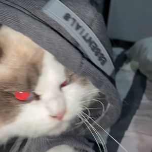 街角旧书店的过期爱情