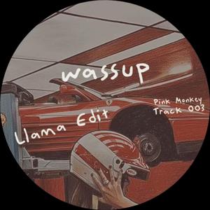WASSUP (Llama Edit)