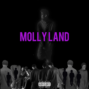 MOLLY LAND