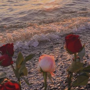 你笑起来真好看