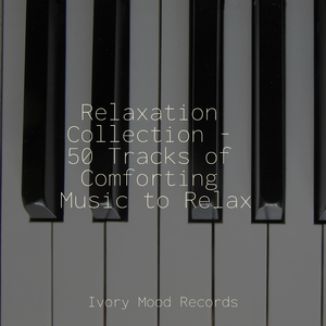 Whispers of Euphoric Air