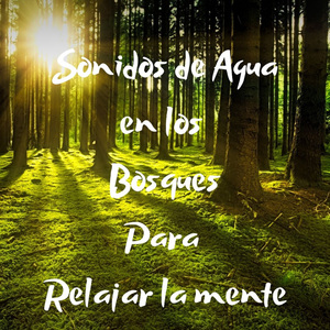 Lluvias y Truenos Relajantes