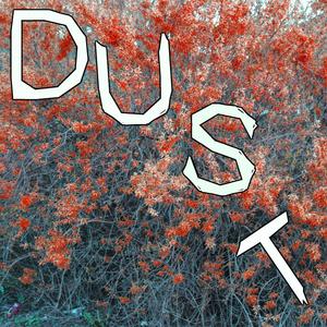 Dust (Me Lost Me Remix) (Me Lost Me Remix)