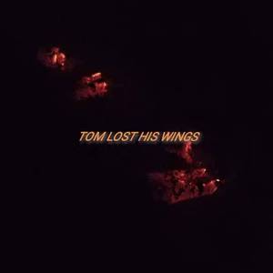 Tom Lost