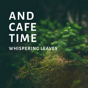 輝くアフタヌーンタイム