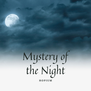 Mystery of the Night