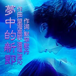 梦中的新郎 (原唱蓝沁)