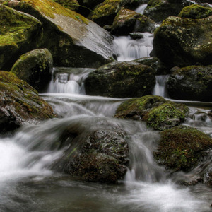 在搞钱和搞对象之中我选择了搞笑