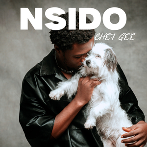NSIDO