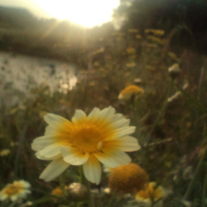 零距离的思念(coverTiny7)