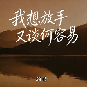 我想放手又谈何容易(伴奏)