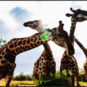 The Squeak of the Mouse