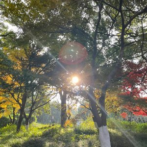 落在生命里的光（男声）