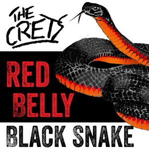 Red Belly Black Snake
