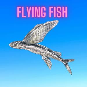 Flying Fish