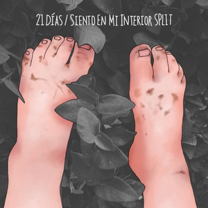 Los Chicos Solo Quieren Divertirse